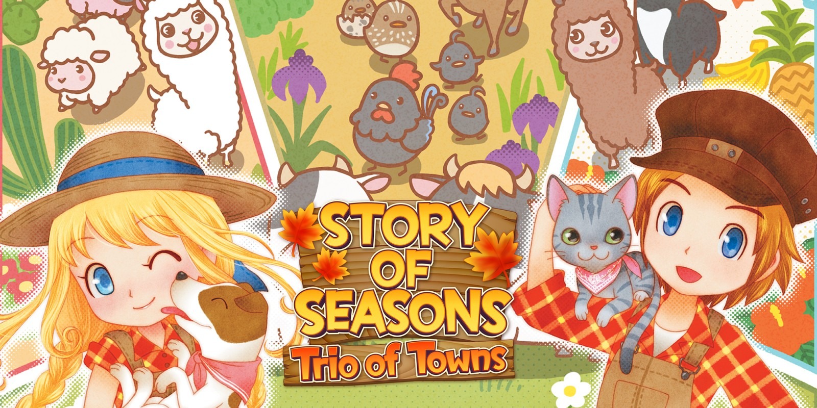 Story of seasons 3ds rom download